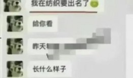 学生爆料吃瓜视频大全集,校园风云录